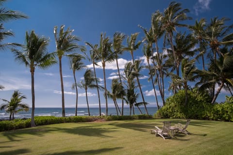 Hawaii beckons...