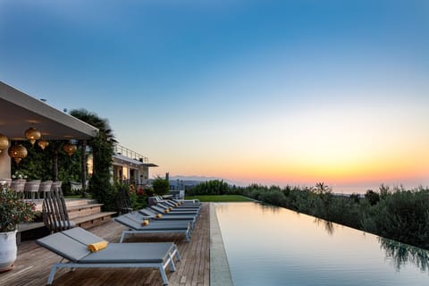 A private 100 m² infinity ecological salt water swimming pool