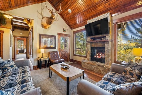 Main living area with gas fireplace