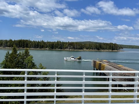 Watch the lobster boats haul traps  in front of the cottage. 