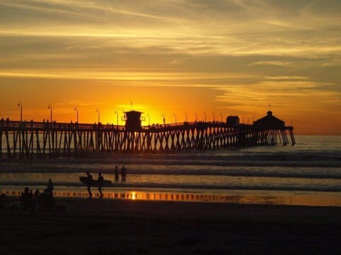Three blocks from the  IB fishing pier. No license is required to catch dinner!