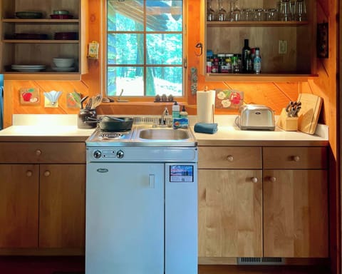 Kitchenette features the basics with a two burner electric stove sink fridge combo - for quaint cabin cooking