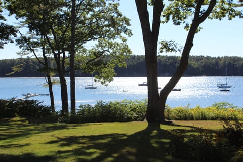 Front yard view.