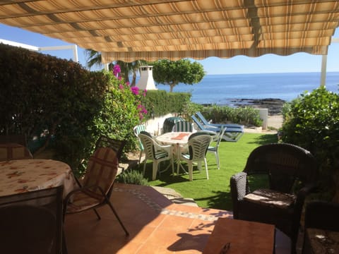 Back garden