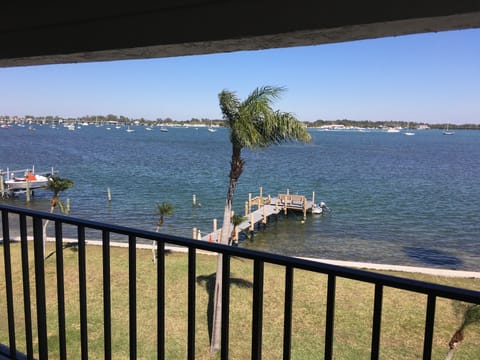 Sarasota Bay View from balcony