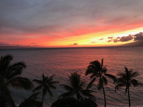 A sunset view from our patio lanai taken by one of our guests.  