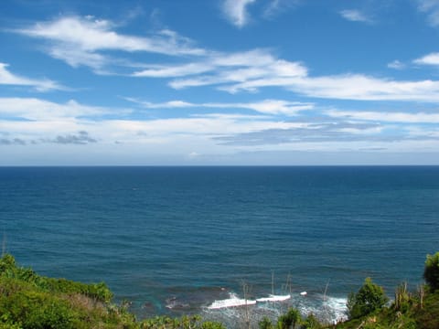 Spectacular view - watch the whales and albatross (in season)!