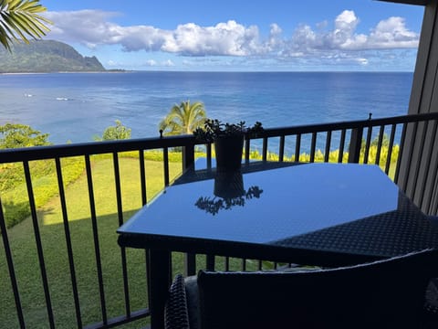 View from our lanai