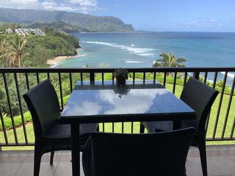 View from our lanai