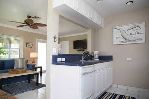 View from backdoor toward galley kitchen and front door