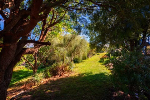 Cockatoo Cabin Bay of Fires (14)