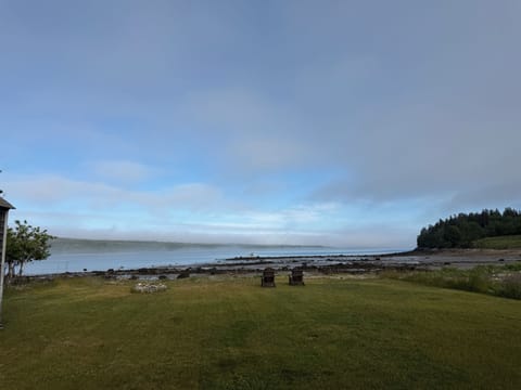 Today (6/16/2026) fog is drifting in with the tide.