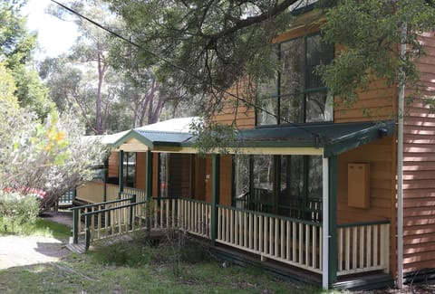 Tall Timbers: Six-bedroom haven of comfort and style. Perfect for cherished memories! 