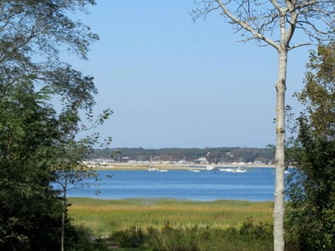 Views of Wellfleet harbor