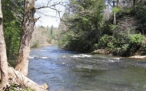 Rushing Fightingtown Creek In Backyard