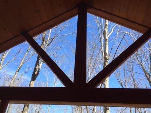 Trees from covered porch. 