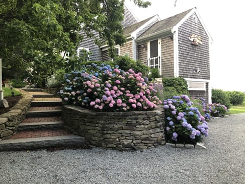 Side entrance to the house in June