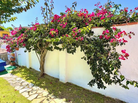 Nature detail from our garden