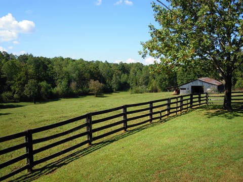 View From Back Deck (To the West)