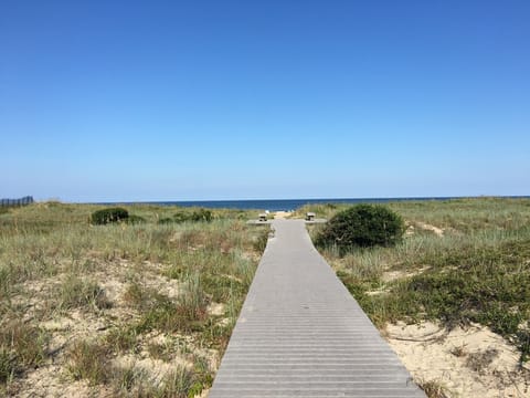 Pathway to beach