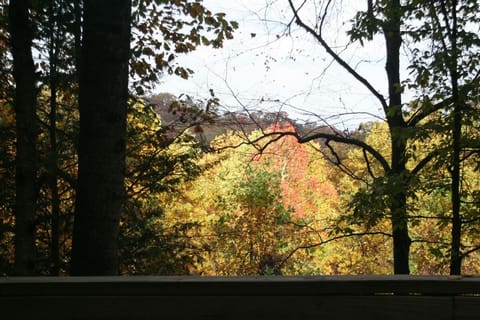 Autumn View from the Deck