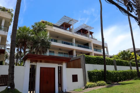 The Pelican standing proud