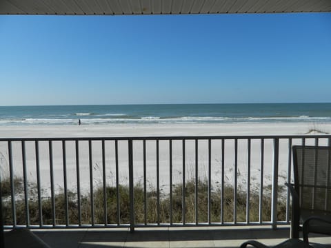 Yes, you are right on the beach.  This is your view!