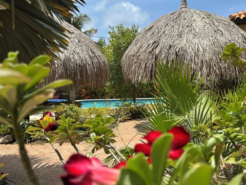 View outside bedroom 2 of walkway, pool & palapas - Pic Date: March 2025