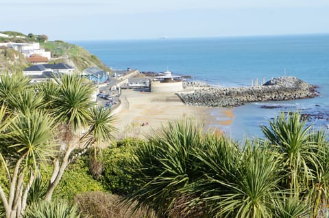 View from Balcony - Ventnor Bay