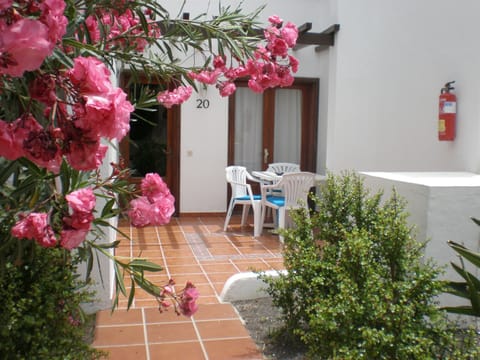 patio and front door into apartment. Taken in spring