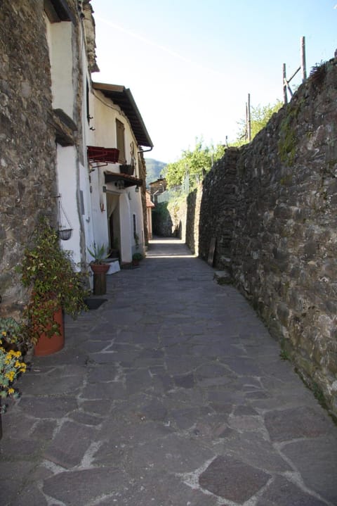 Along Via Cavour, your 'street'