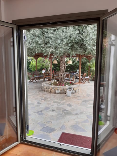 Shaded outside living / eating area, accessed from kitchen