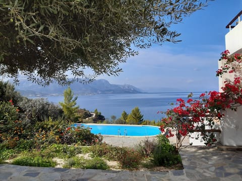 View from the outside seating area