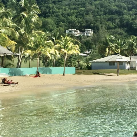 Calypsosteps away from white powder Galleon Beach with calm clear sheltered sea