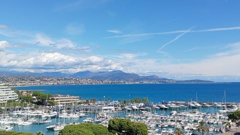 Marina