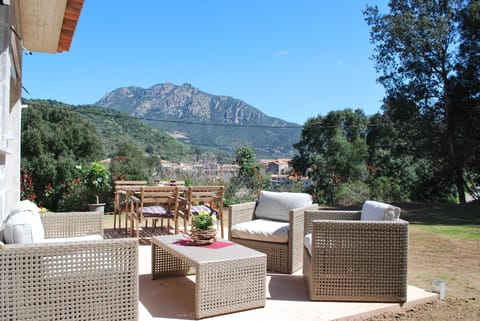 Vue sur le village et le domaine viticole le plus haut de corse!
