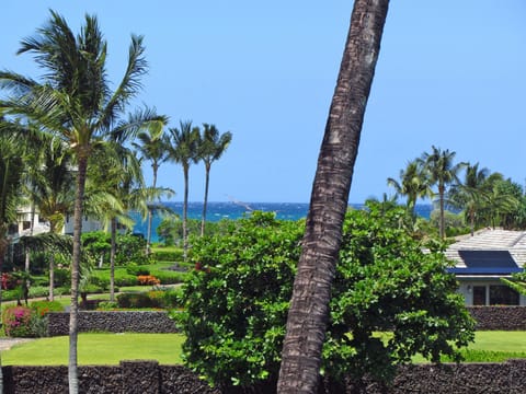 Daytime view from our lanai.
