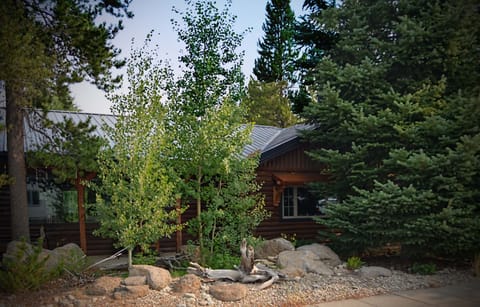 Front yard in summer months, natural landscaping, aspens and fir
