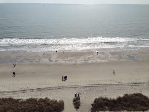 Amazing view from our direct oceanfront 11th floor condo