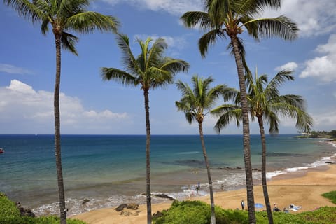 View from Lanai