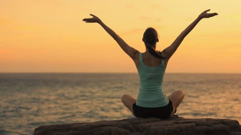 Find Your Zen
