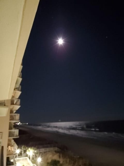 Night time is beautiful as the moon shines over the ocean!