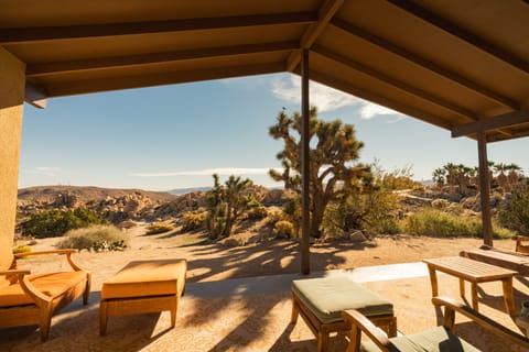 View from the expansive and protected back porch.