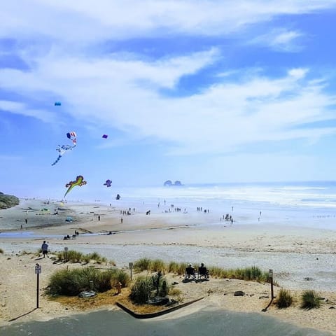 From top deck, looking toward Twin Rocks with some kites on the beach!