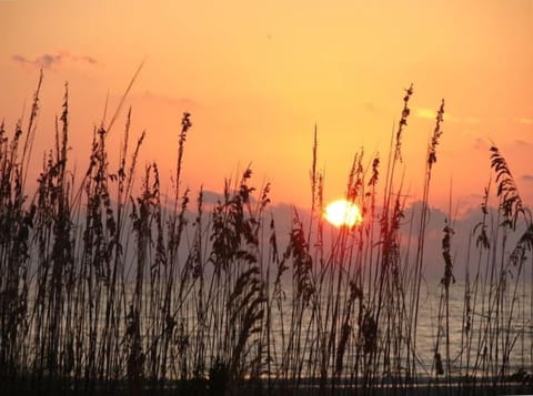 End of a perfect day!!