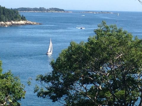 View From Deck