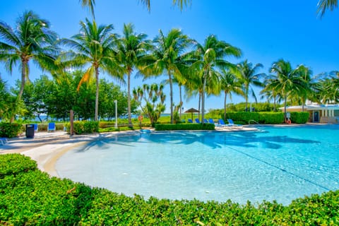 Main Pool surrounded by palm trees and tropical plants