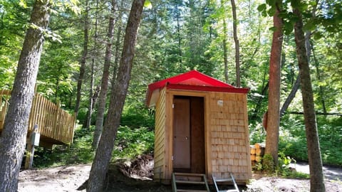 Outhouse with electric lights