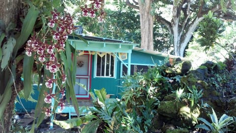 Tucked under enormous trees this cozy cabin is charming, magical and memorable.