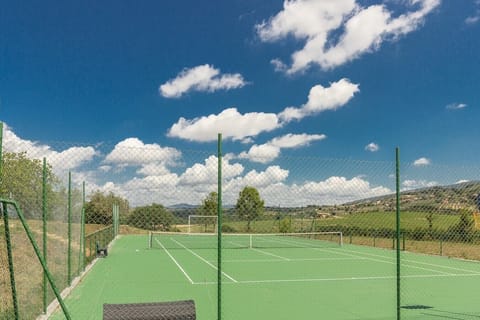 Sport court
